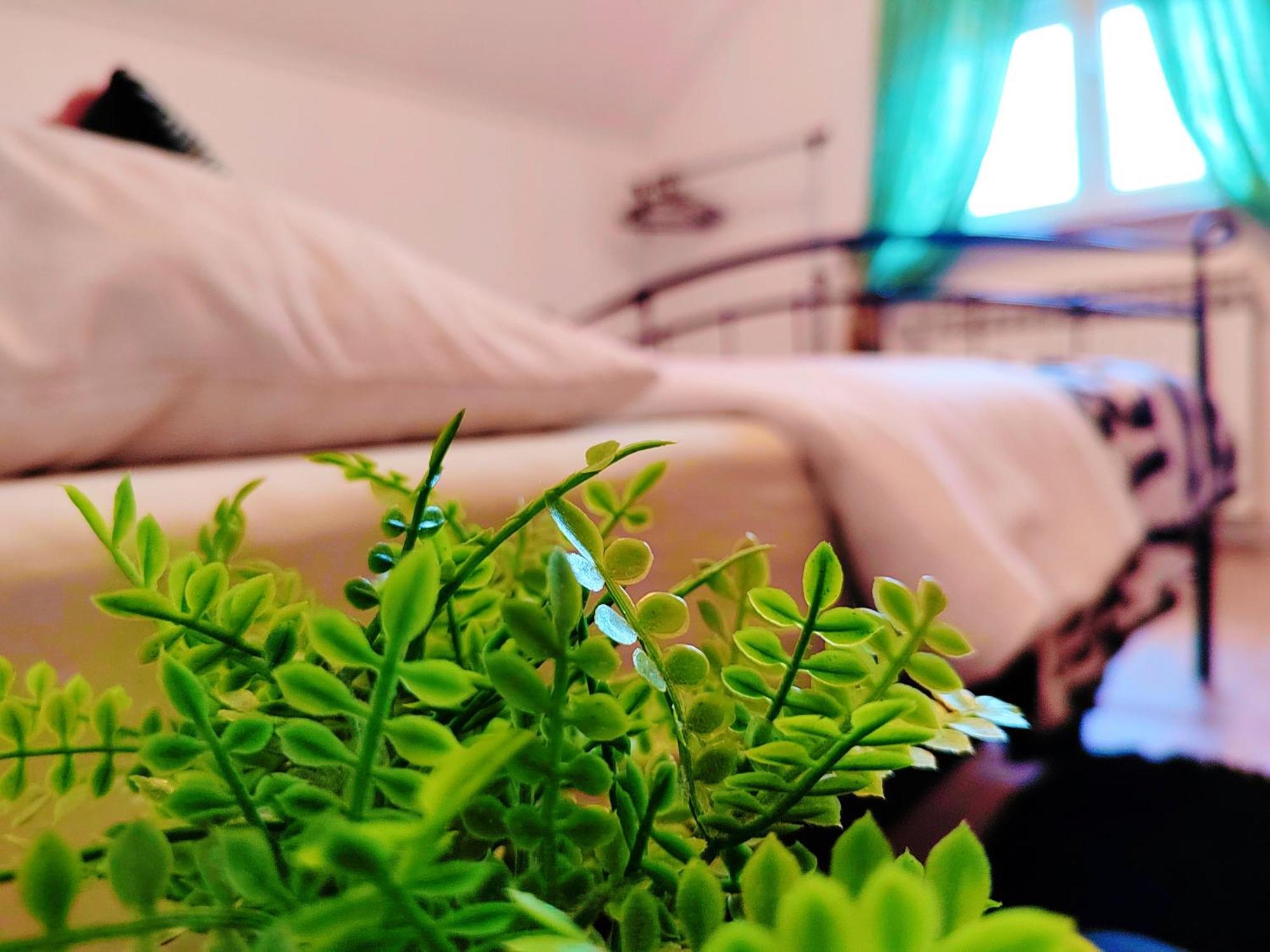 Zagreb, Apartman Jezz Exteriér fotografie